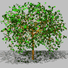 WalthamSoft tree logo